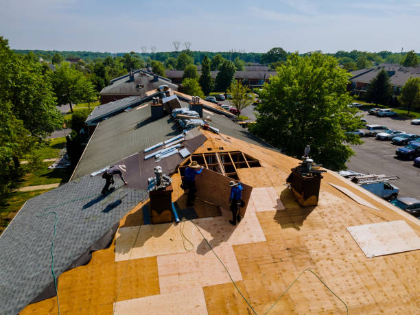Trusted Storm Damage Roof Repair service in Lookout, WV - Brentwood Metal Roofing